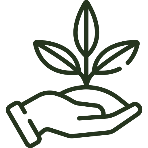  Icon Hand mit spanischer Erde und Olivenbaum-Setzling